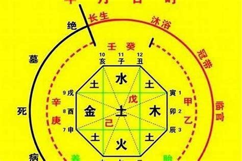 喜神意思|八字的喜用神与忌神详解